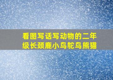 看图写话写动物的二年级长颈鹿小鸟鸵鸟熊猫