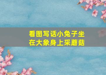 看图写话小兔子坐在大象身上采蘑菇