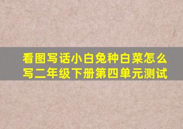 看图写话小白兔种白菜怎么写二年级下册第四单元测试