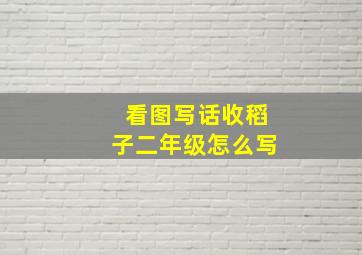 看图写话收稻子二年级怎么写