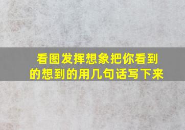 看图发挥想象把你看到的想到的用几句话写下来