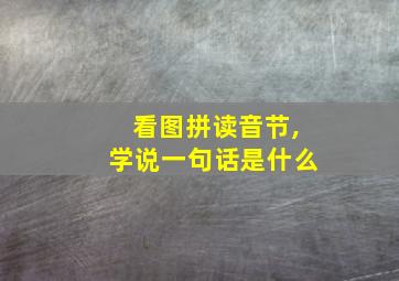 看图拼读音节,学说一句话是什么