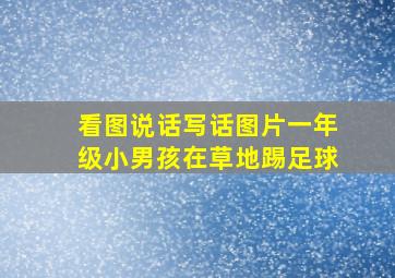 看图说话写话图片一年级小男孩在草地踢足球