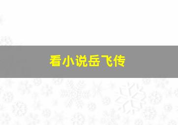 看小说岳飞传