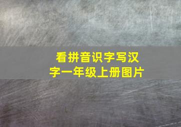 看拼音识字写汉字一年级上册图片