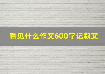 看见什么作文600字记叙文