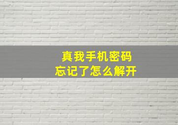 真我手机密码忘记了怎么解开