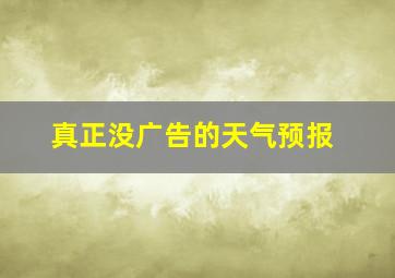 真正没广告的天气预报