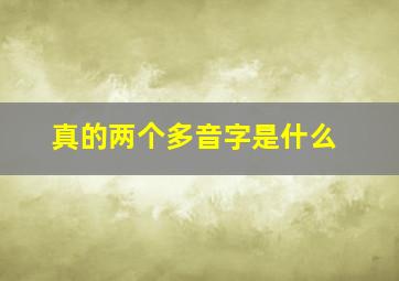 真的两个多音字是什么