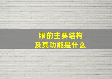 眼的主要结构及其功能是什么