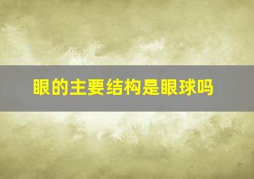 眼的主要结构是眼球吗