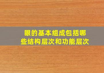 眼的基本组成包括哪些结构层次和功能层次