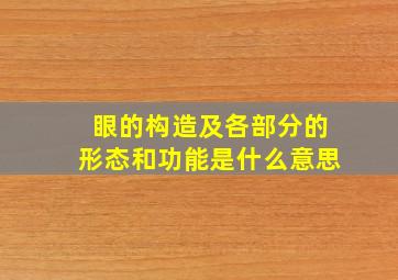 眼的构造及各部分的形态和功能是什么意思