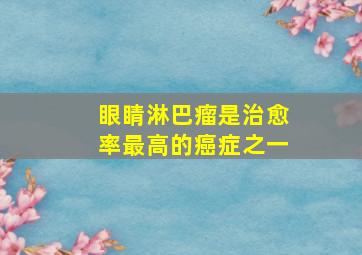 眼睛淋巴瘤是治愈率最高的癌症之一