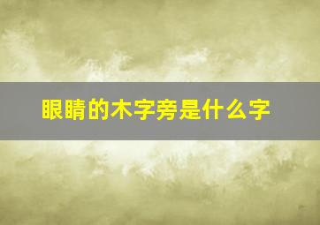 眼睛的木字旁是什么字