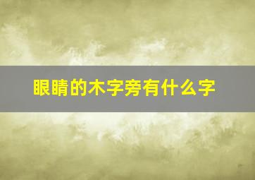 眼睛的木字旁有什么字