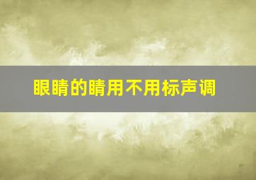 眼睛的睛用不用标声调