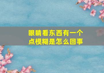 眼睛看东西有一个点模糊是怎么回事