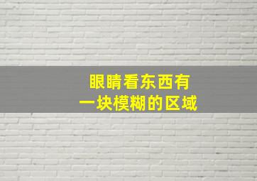 眼睛看东西有一块模糊的区域