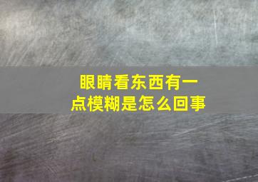 眼睛看东西有一点模糊是怎么回事