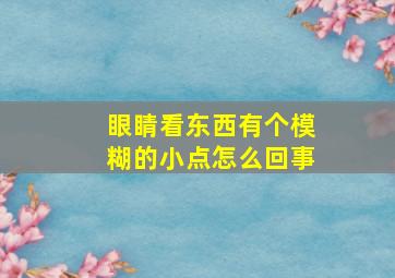 眼睛看东西有个模糊的小点怎么回事