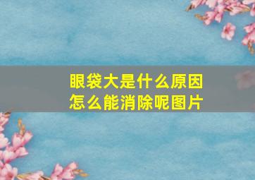 眼袋大是什么原因怎么能消除呢图片