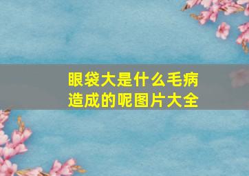 眼袋大是什么毛病造成的呢图片大全