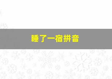 睡了一宿拼音