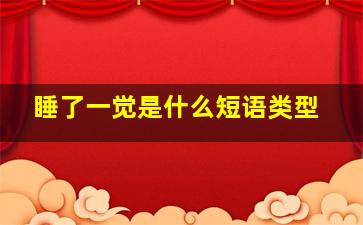 睡了一觉是什么短语类型