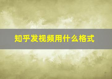 知乎发视频用什么格式