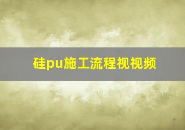 硅pu施工流程视视频