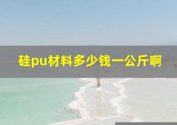 硅pu材料多少钱一公斤啊