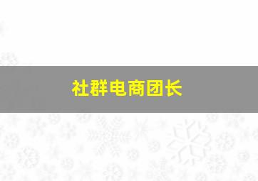 社群电商团长