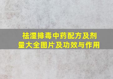 祛湿排毒中药配方及剂量大全图片及功效与作用