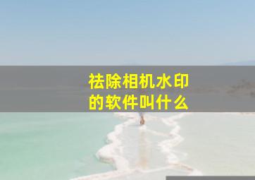 祛除相机水印的软件叫什么