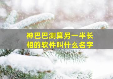 神巴巴测算另一半长相的软件叫什么名字