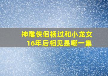 神雕侠侣杨过和小龙女16年后相见是哪一集