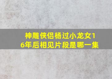 神雕侠侣杨过小龙女16年后相见片段是哪一集