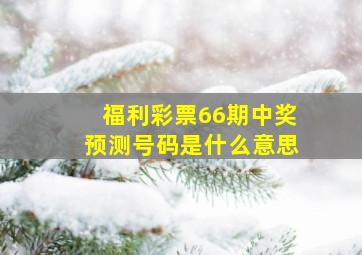 福利彩票66期中奖预测号码是什么意思