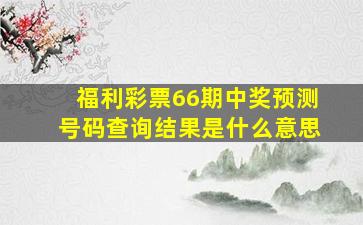 福利彩票66期中奖预测号码查询结果是什么意思