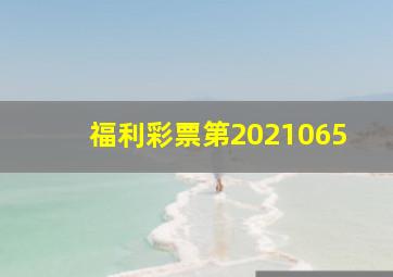 福利彩票第2021065