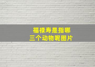 福禄寿是指哪三个动物呢图片