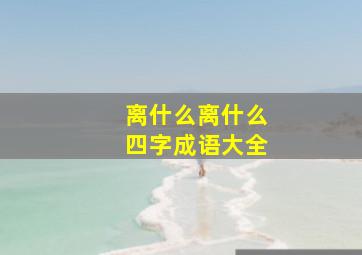 离什么离什么四字成语大全