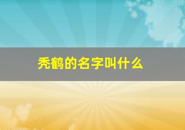 秃鹤的名字叫什么