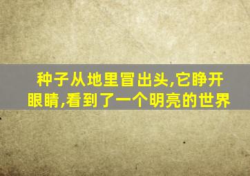 种子从地里冒出头,它睁开眼睛,看到了一个明亮的世界