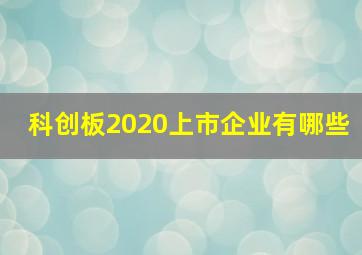 科创板2020上市企业有哪些