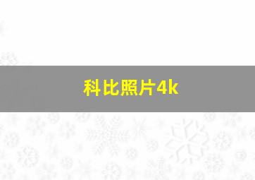 科比照片4k