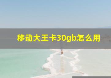 移动大王卡30gb怎么用