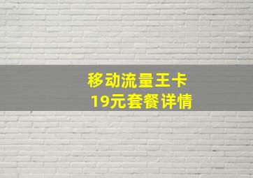 移动流量王卡19元套餐详情