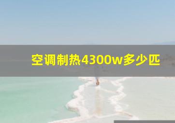 空调制热4300w多少匹